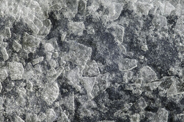 Small pieces of ice of various shapes frozen on the gray asphalt. Full frame.