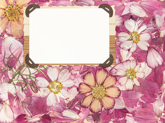 Background of fragments broken flowers. Bouquet, boutonniere of dry flower. Scrapbooking element consists flowers, petals. For cards, invitations and congratulations. Use in greetings, scrapbooking