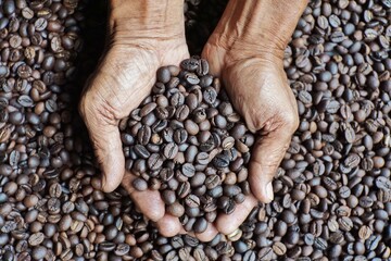 Close-up of a person's hands gently holding a generous handful of dark roasted coffee beans, with...