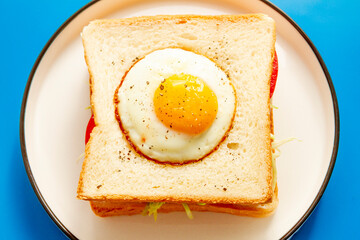 Sandwich with egg on the top close up.