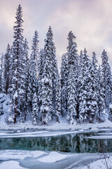 Sunset over snow covered tress and Toby Creek near Invermere in Kootenay National Park, BC
