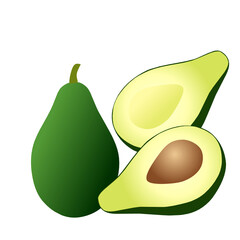 Avocado-like vector fruit