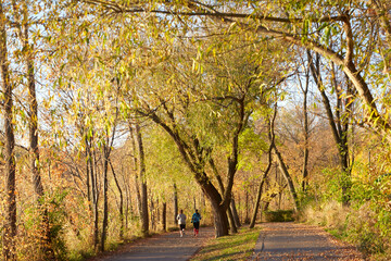 Friends jogging down park sidwalk under beautiful fall leaves turning colors