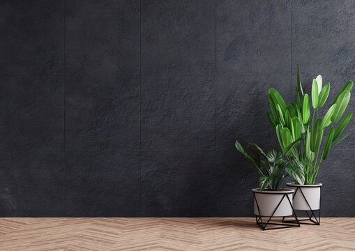 Empty room concrete wall with beautiful plants placed on the floor to the side.3d rendering.