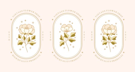 Set of vintage botanical peony flower and leaf branch element for feminine logo and beauty brand