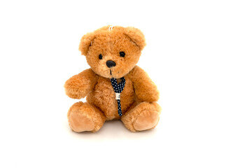 Fluffy brown teddy bear isolated on white background.