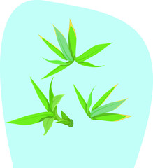 cute funny cartoon illustration of spa industry on background