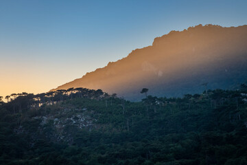 Sunset in the mountains among the green trees