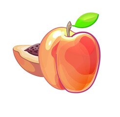 bright beautiful color illustration of fruit on the background