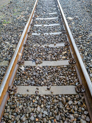 Railroad tracks shoot after rain. 