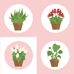Set of green indoor flat style houseplants and flowers in pots on the shelf icons on white background.
