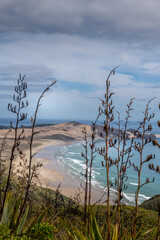 Cape Maria von Diemen New zealand