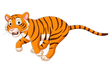Cartoon funny tiger running on white background