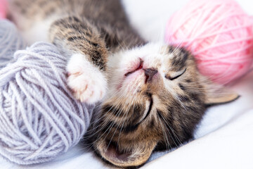 Fototapeta na wymiar Cute Cat sleeping with pink and grey balls skeins of thread on white bed.