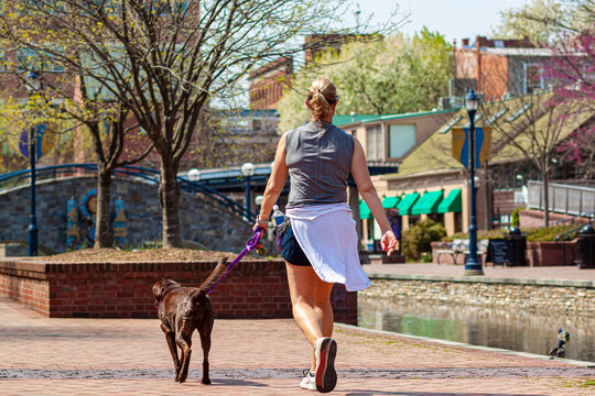 Closeup image of a young blonde woman jogging in the park while walking her dog on leash. She tied her clothes around her waist. She carries water bottle with her. A scenic city park with river.