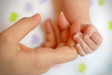 hands holding a leaf
