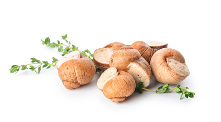 Tasty snails on white background
