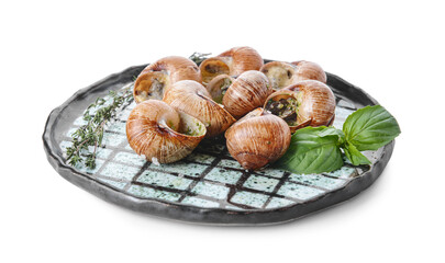 Plate with tasty snails on white background