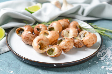 Plate with tasty snails on color background