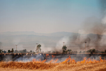 Fototapeta na wymiar PM 2.5 air pollution problem from rice burning in rice fields by farmers.