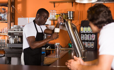 Young man barman is pouring unbottled beer for client in bar..