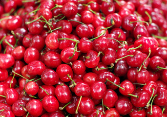 Cherry