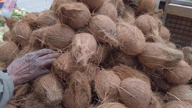 Zoom in of woman of african ethnicity selecting a ripe coconut, cocos nucifera, to buy at a market stall