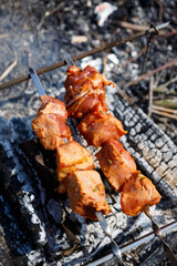 Juicy meat on a skewer. Frying kebabs in the fresh air. Summer afternoon picnic