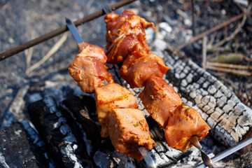 Juicy meat on a skewer. Frying kebabs in the fresh air. Summer afternoon picnic
