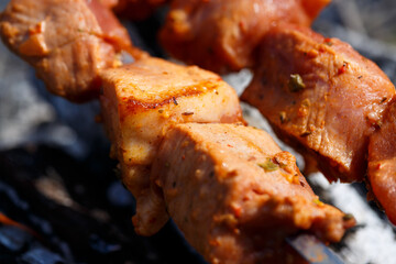 Juicy meat on a skewer. Frying kebabs in the fresh air. Summer afternoon picnic