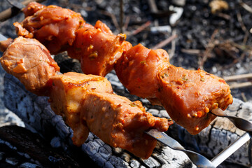 Juicy meat on a skewer. Frying kebabs in the fresh air. Summer afternoon picnic
