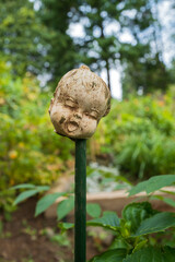 Baby doll head on a post in the garden