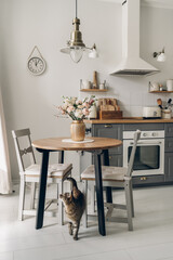 Spring bouquet on the table in the style interior in living room. Scandinavian style. White wooden background. Bright  interior. Cat in the living room. © Адель Вафин