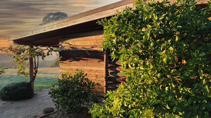 Orange tree and wonderful view next to the wooden cottage. Mullion Creek NSW 2800, Australia. Selective Focus Orange Tree. 