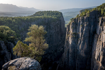 The Tazi Canyon is located in the northern part of the Koprulu Canyon National Park, close to the cemetery of the Gaziler Village.
