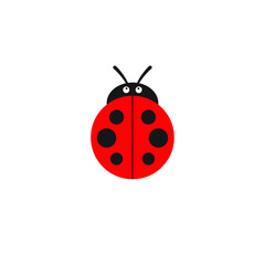 Ladybug or ladybird vector graphic illustration, isolated. Cute simple flat design of black and red lady beetle.