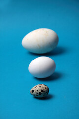 three eggs in a row isolated on blue background