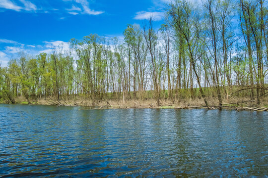 Beautiful landscape in coutryside, river Strug in nature park Lonjsko polje, Croatia