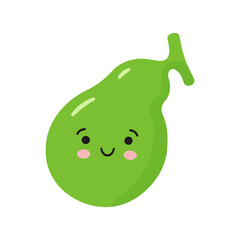 Happy healthy gallbladder. Vector isolated illustration on white background.