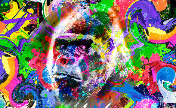 close up of a color background and white gorilla