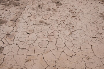 Dry soil and cracked soil surface
