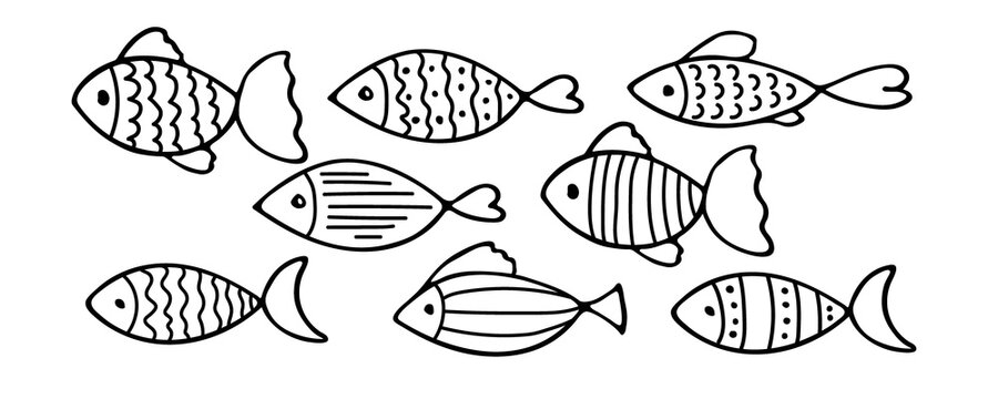 Set of vector stylized fishes. Collection of aquarium fish. Linear Art. Illustration for children. Sketch of fish vector icons isolated on white background. Set of varieties cartoon fishes