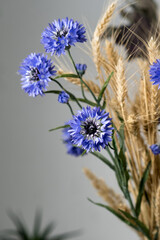 Minimalist composition of dried flowers in vase as home decoration. Blue cornflower on a background of ripe wheat ears. Educational still life for drawing.