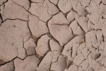 Dry soil and cracked soil surface