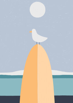 sea gull on a surf board
