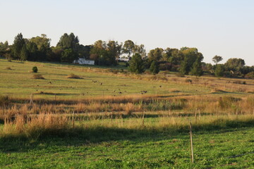 Fototapeta na wymiar landscape in the countryside