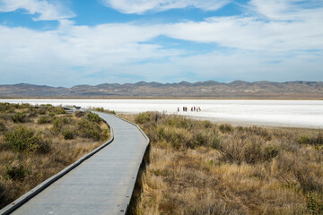 Fototapeta na wymiar Soda Lake boardwalk, Carrizo Plain National Monument, San Luis Obispo County, California.