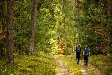 Early spring - a backpacking walk through a beautiful green forest - Poland, Warmia and Masuria