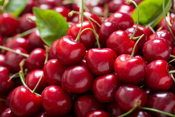 fresh cherries as background