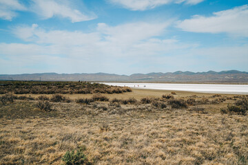 Fototapeta na wymiar Carrizo Plain National Monument, San Luis Obispo County, California.
